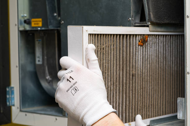 Air Duct Mold Removal in FL
