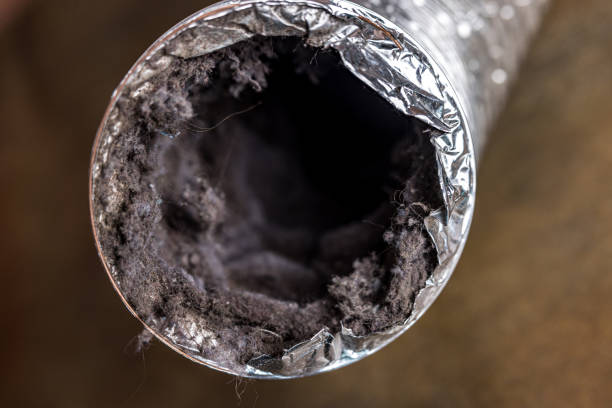 Best Best Air Duct Cleaning Company  in Tiger Point, FL